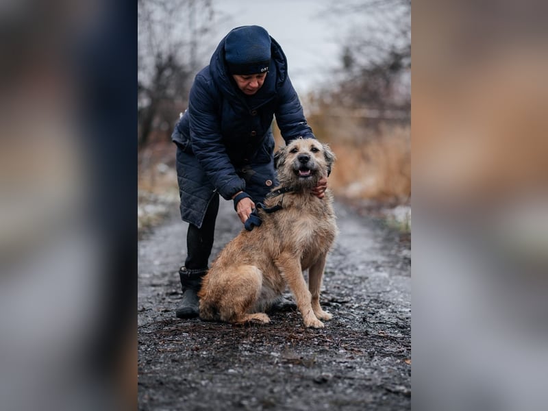 RONI *geb. 01/2023 - aktiver Gefährte mit Herz und Mut sucht sein Zuhause