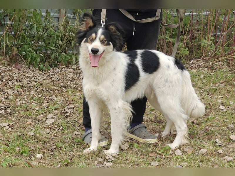 MARTIN *geb. 03/2023 - Möchte sein Herz verschenken - an dich?