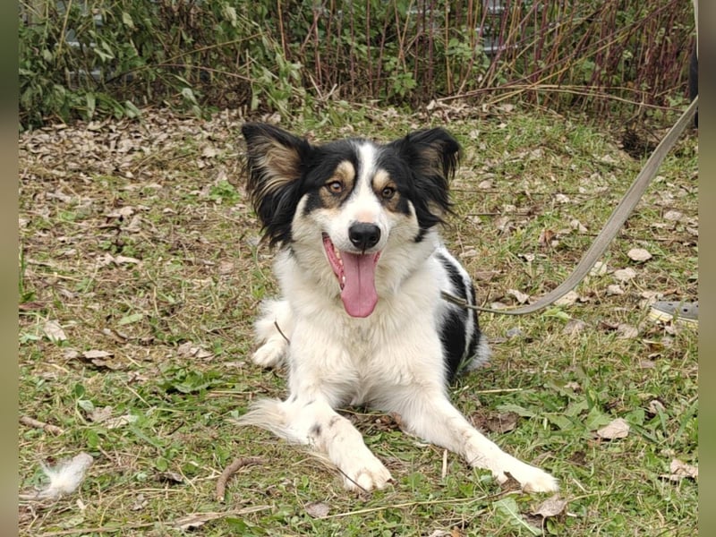 MARTIN *geb. 03/2023 - Möchte sein Herz verschenken - an dich?