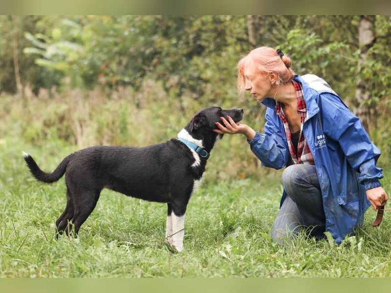 Gala, geb. 08/2023 – die perfekte Familienhündin!
