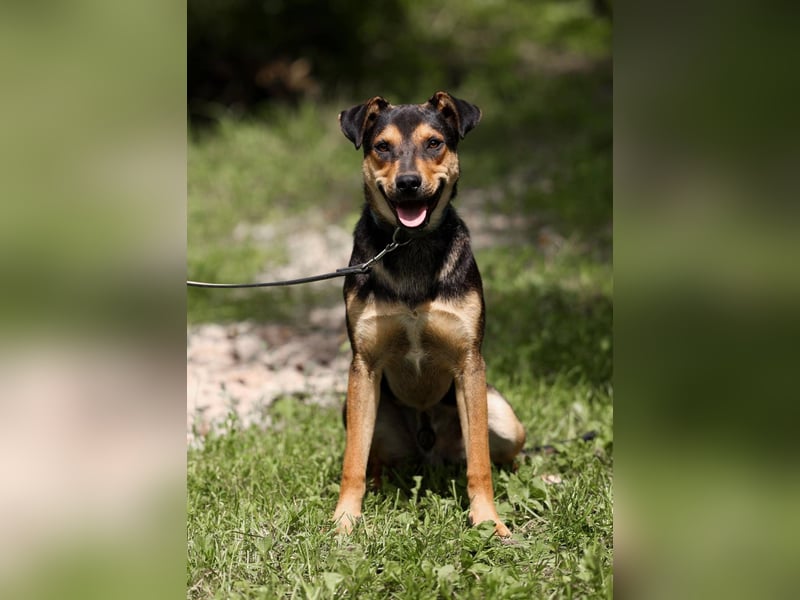 BOSCO *geb. 09/2024 - kleine Seele ist bereit für ihr eigenes Körbchen