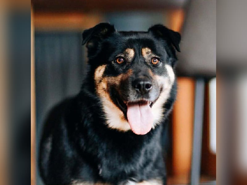 Unkomplizierte Prada sucht ihre Familie