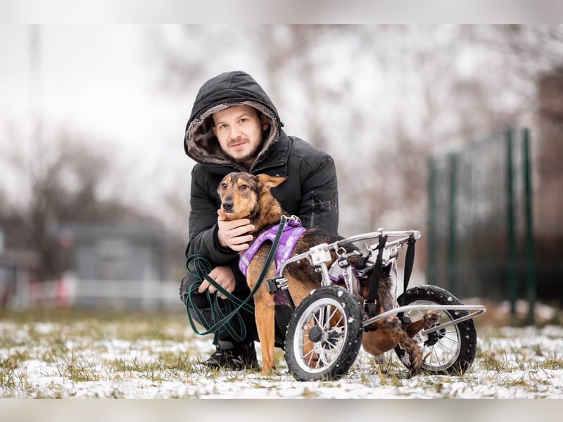 Besondere Miranda sucht ihre Familie