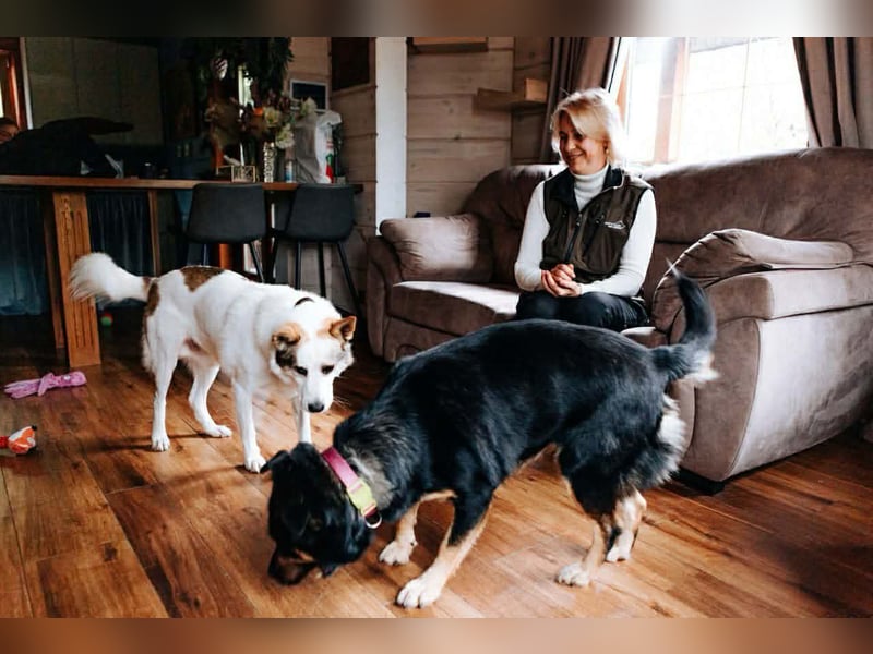 Unkomplizierte Prada sucht ihre Familie