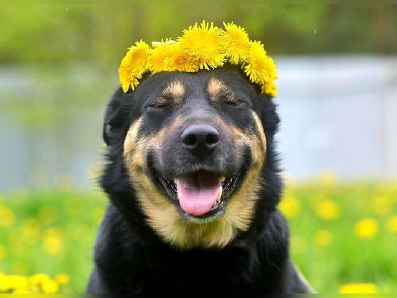 Unkomplizierte Prada sucht ihre Familie