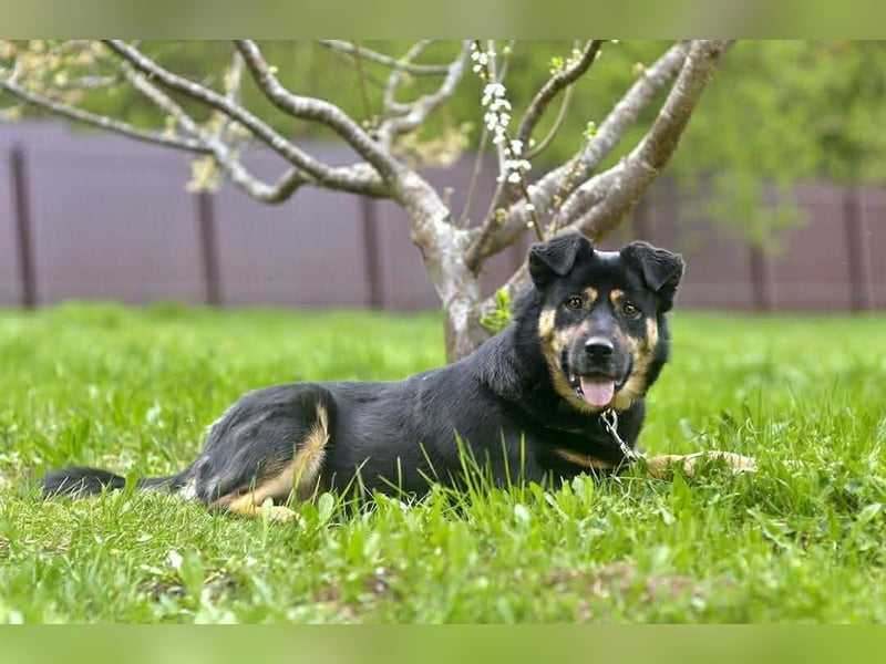 Unkomplizierte Prada sucht ihre Familie