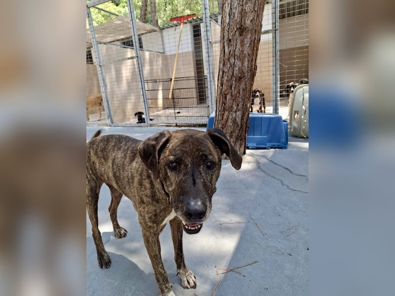 Pepper sucht eine eigene Familie!