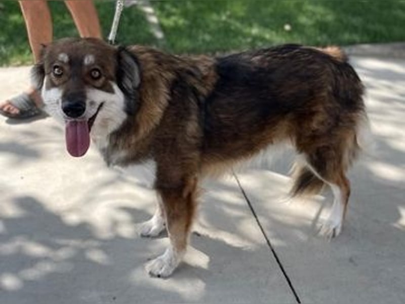 FAUN – Vom Schatten ins Licht 