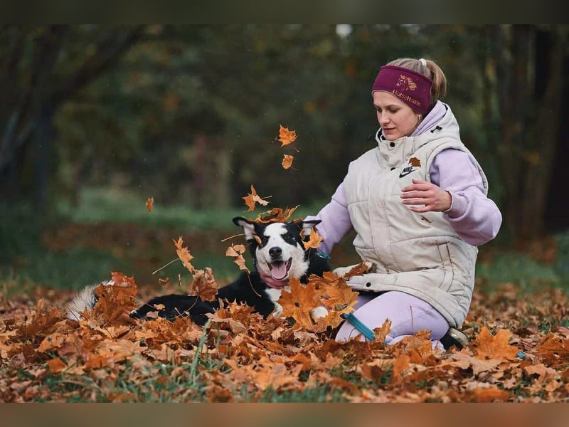 Lebensfroher Chico sucht seine Familie