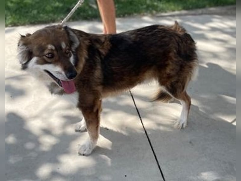 FAUN – Vom Schatten ins Licht 