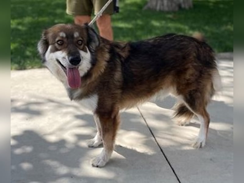 FAUN – Vom Schatten ins Licht 