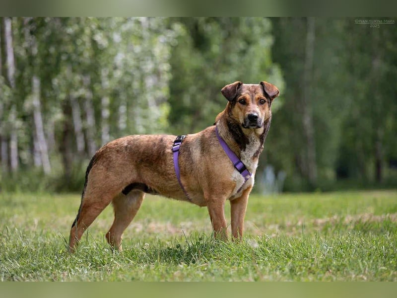 Soziale Rita sucht liebevolles Zuhause