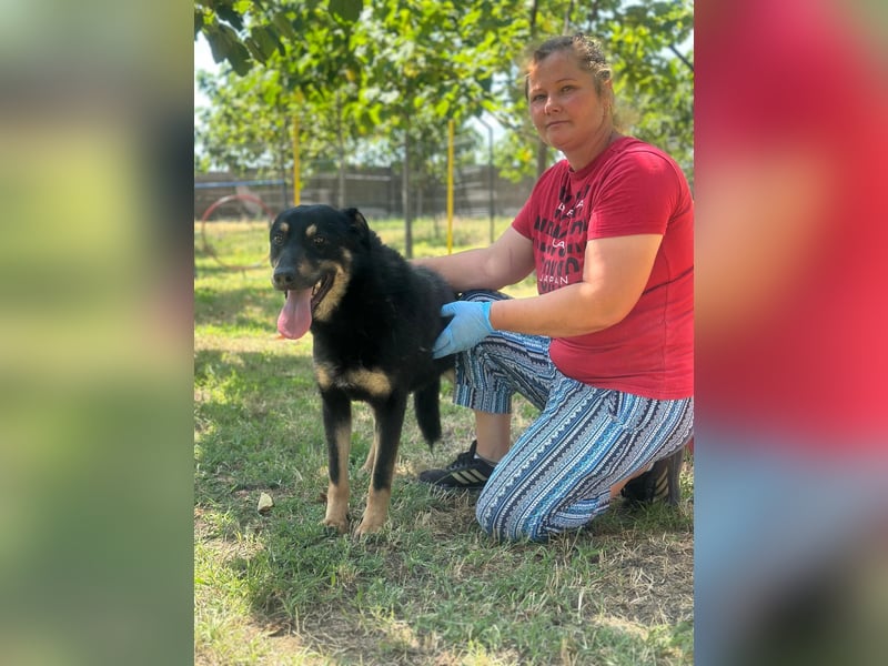 JORIS – Lebensfreude pur in schwarzem Fell