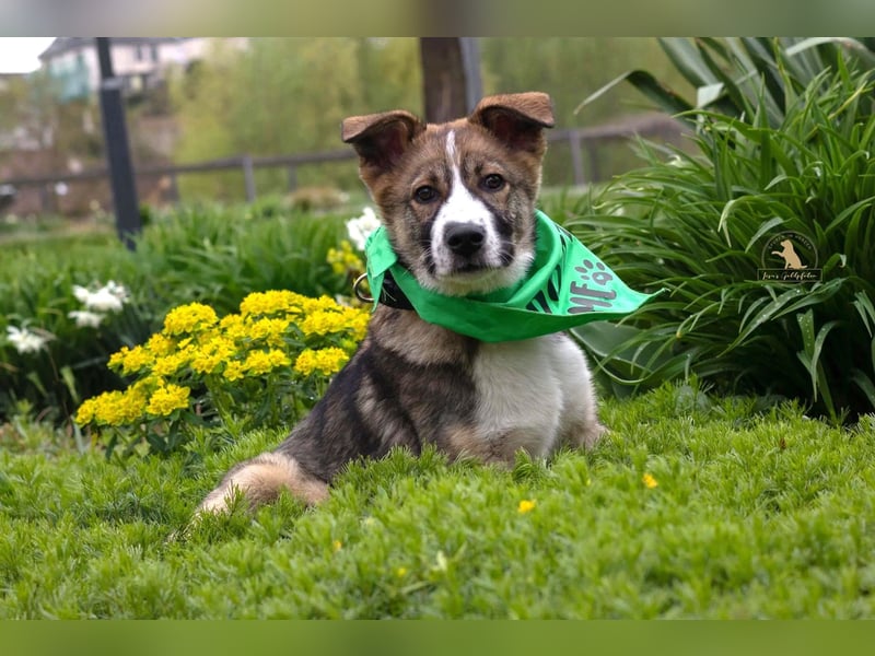 Valentin unser Sonnenschein mit Handicap