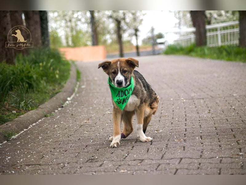Valentin unser Sonnenschein mit Handicap