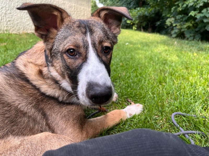 Valentin unser Sonnenschein mit Handicap