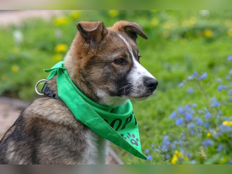 Valentin unser Sonnenschein mit Handicap