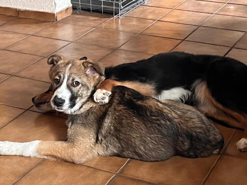 Valentin unser Sonnenschein mit Handicap