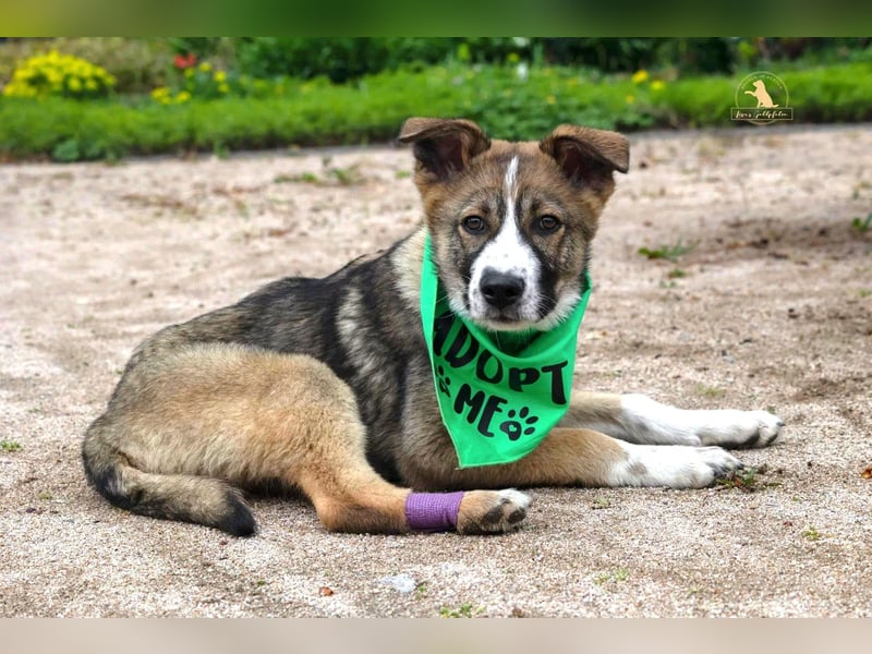 Valentin unser Sonnenschein mit Handicap