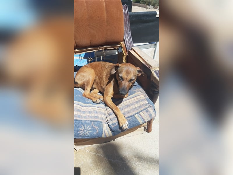 Doris, auf der Suche nach ihren Menschen