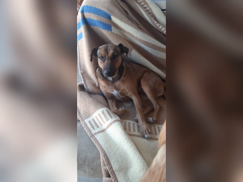 Doris, auf der Suche nach ihren Menschen