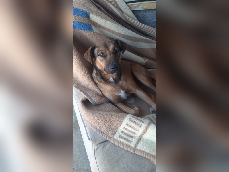 Doris, auf der Suche nach ihren Menschen