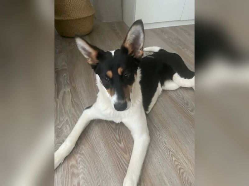 Simona - wo darf ich Zuhause sein?