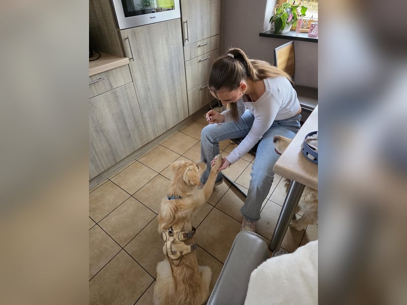 Gilda sucht ihr Zuhause