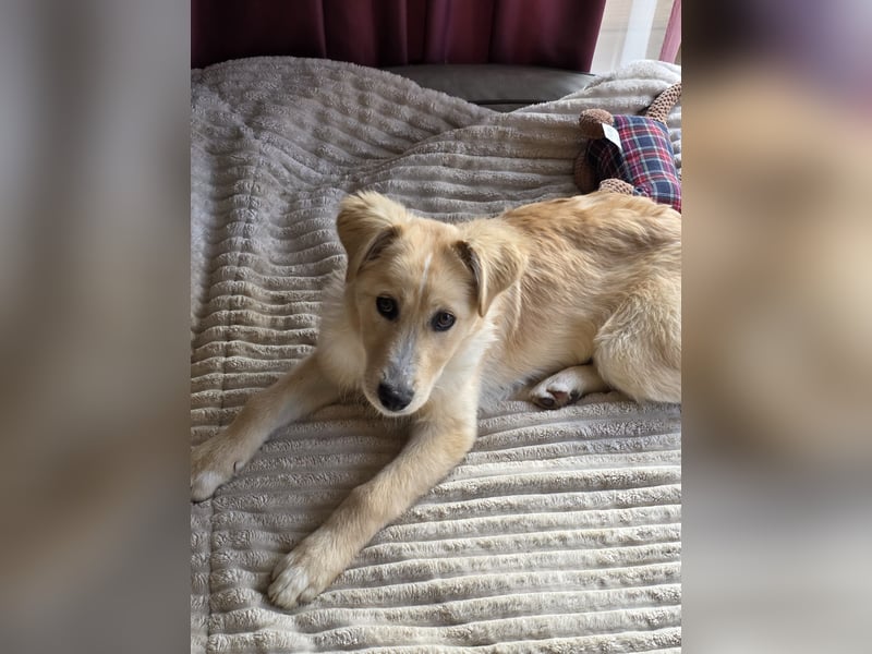 Gilda sucht ihr Zuhause