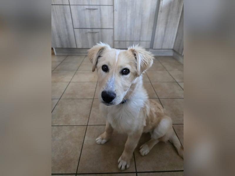 Gilda sucht ihr Zuhause