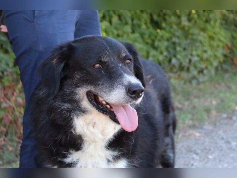 Carmine - Bereit für den Neustart