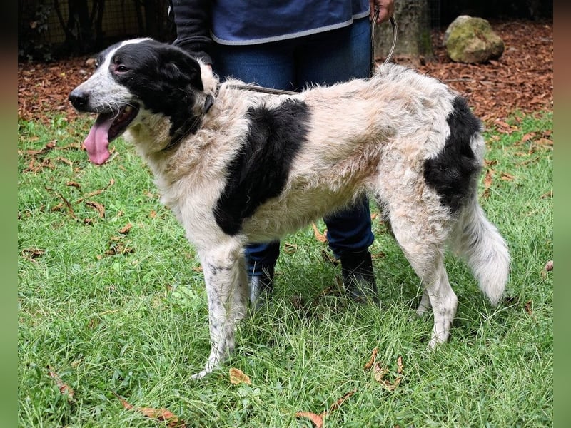 Jessie - Viel zu lange auf der Zuschauerbank