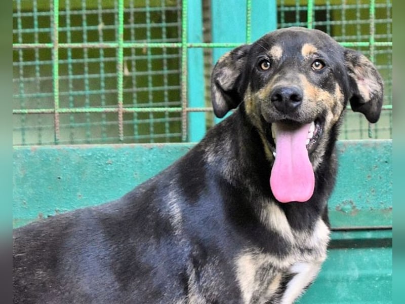 Montego - Sonne im Bauch und Brausekribbeln im Hirn