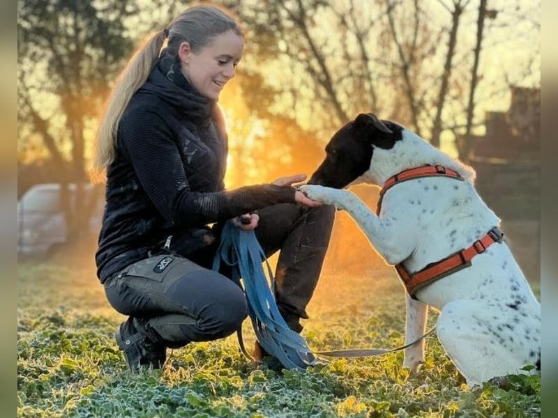 Phönix - Wege aus der Vergangenheit