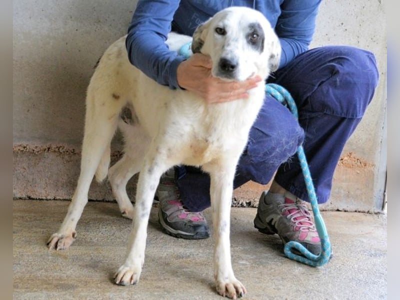 Arunny - Während Sie das hier lesen