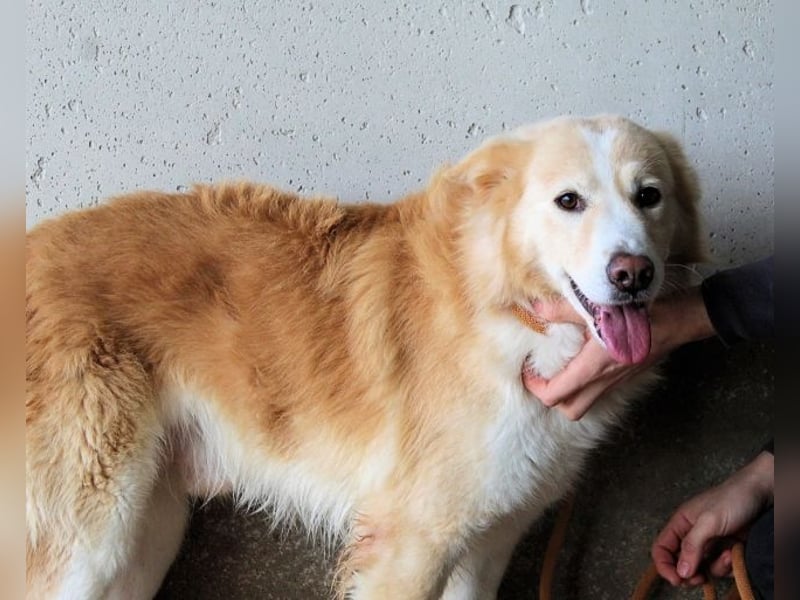 Tirvian - Kurz Alarm, dann Charme