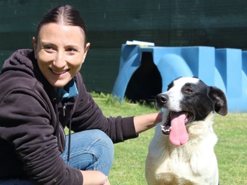 Florentino - Der hübscheste aller Batmans