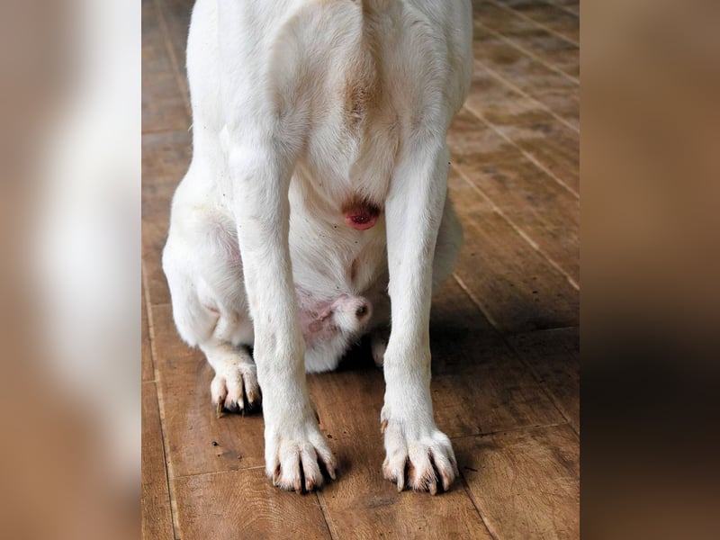 Ghemon - Notfall - Wie wenig kann ein Leben zählen?