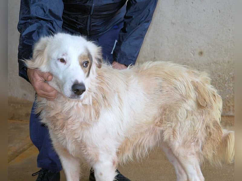 Bailoch - Zeig mir doch bitte...