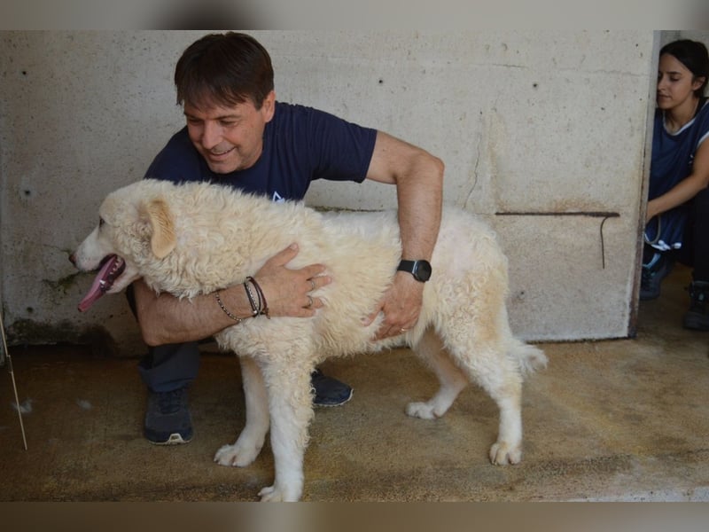 Abreena - Selbstbewusst, verspielt und voller Zuneigung