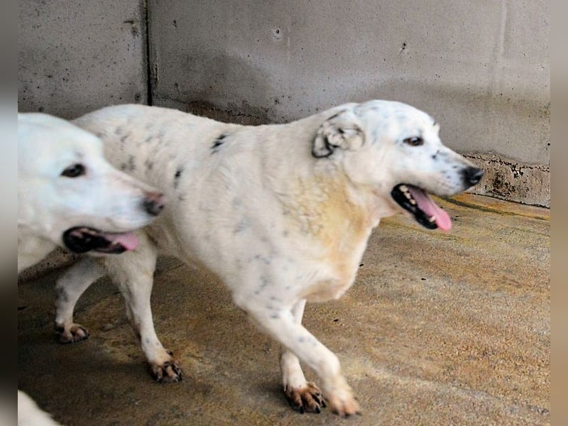 Arunny - Während Sie das hier lesen