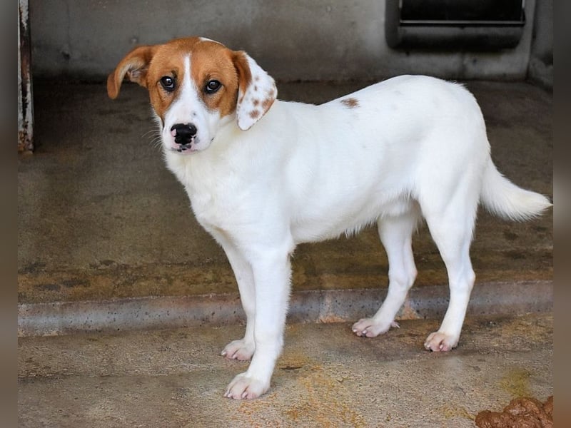 Tyber - Wer gibt mir einen Vertrauens-Schubser?