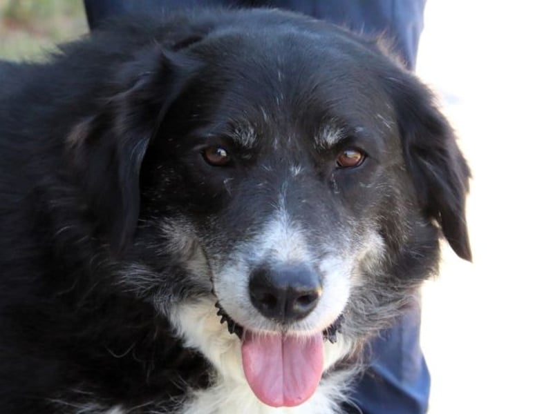 Carmine - Bereit für den Neustart