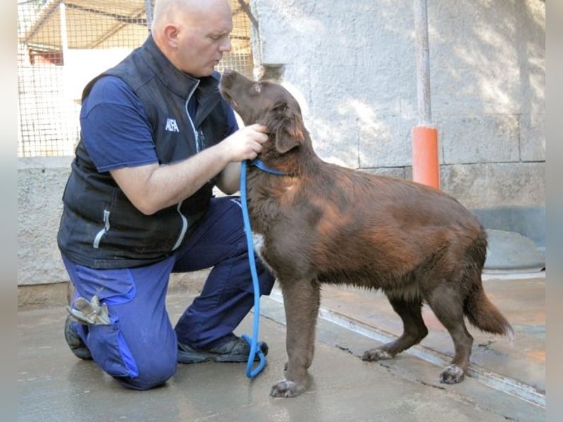 Beckey - Berufswunsch Prinzessin