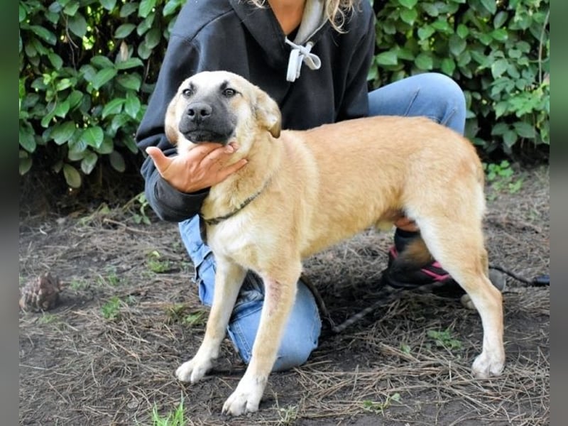 Zeebo - Z wie Zuckersüß und Zauberhaft