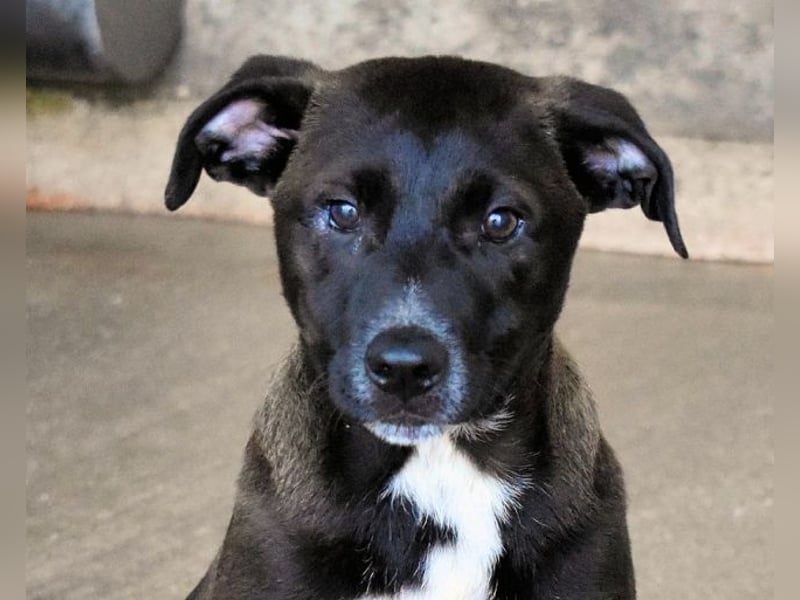 Marisca - Es soll DEIN Leben werden