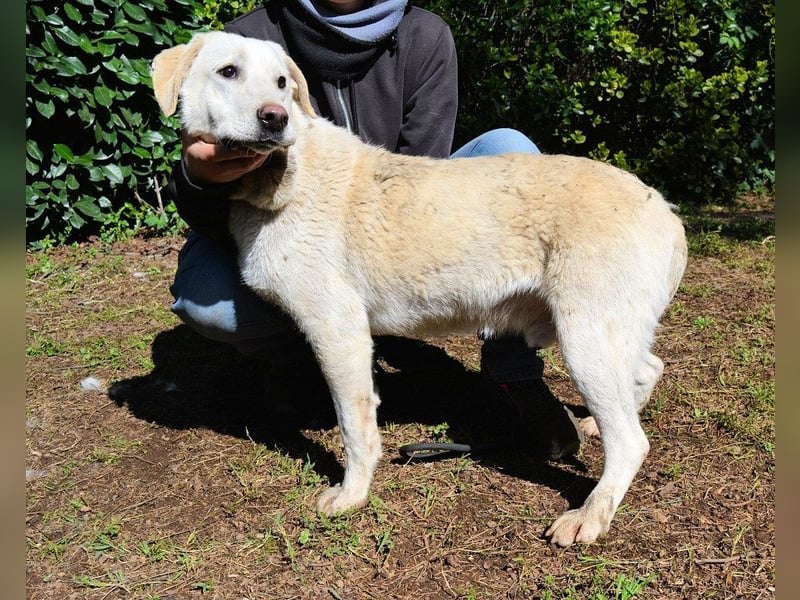 Shaydon - Ein riesiges Missverständnis!