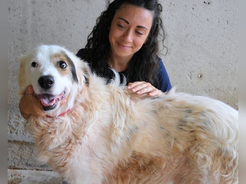 Bailoch - Zeig mir doch bitte...