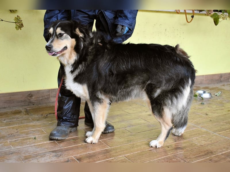 Oliverio - ohne Anklage hinter Gittern