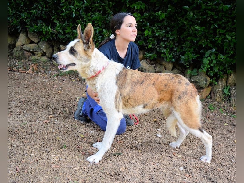 Milde - Ein Flüstern, das sagt: "Du bist sicher."